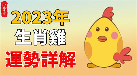 1969屬雞2023幸運色|【屬雞2023生肖運勢】犯太歲險阻多，感情幾經波。